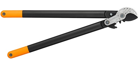 voorbeeld van een takkenschaar met aambeeld